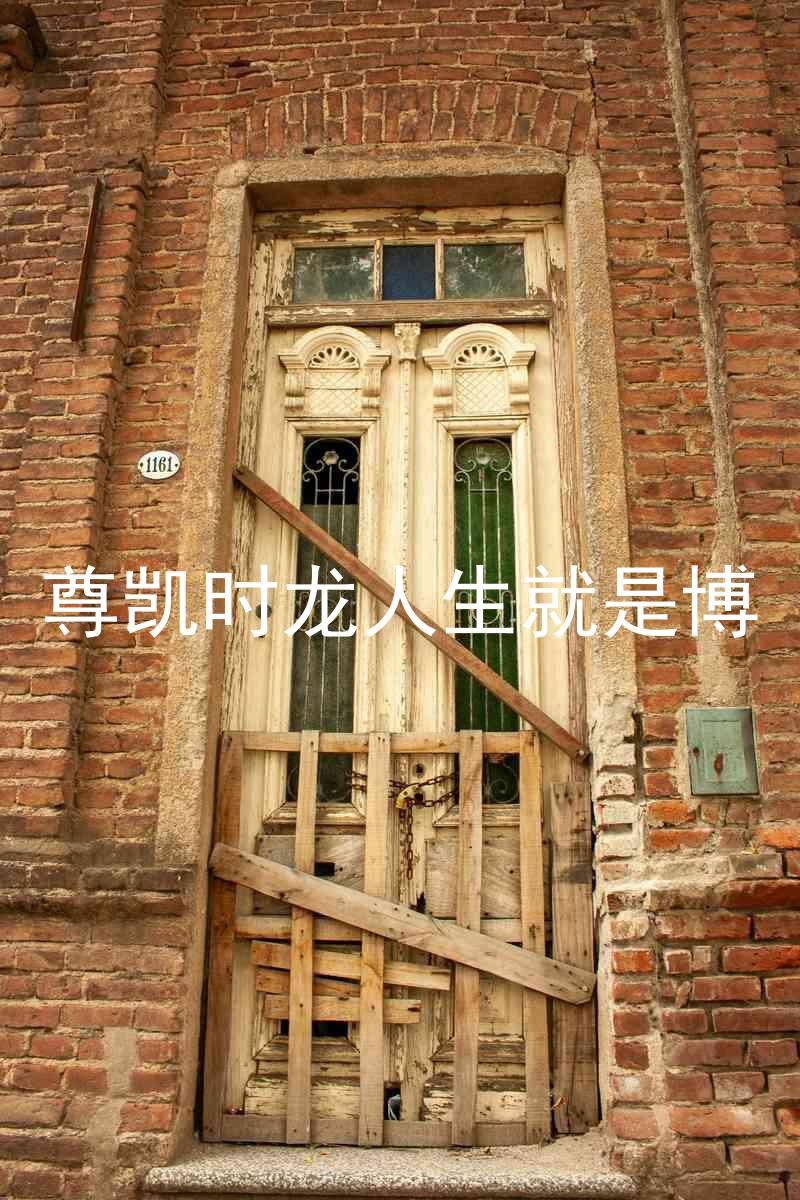 尊凯时龙人生就是博