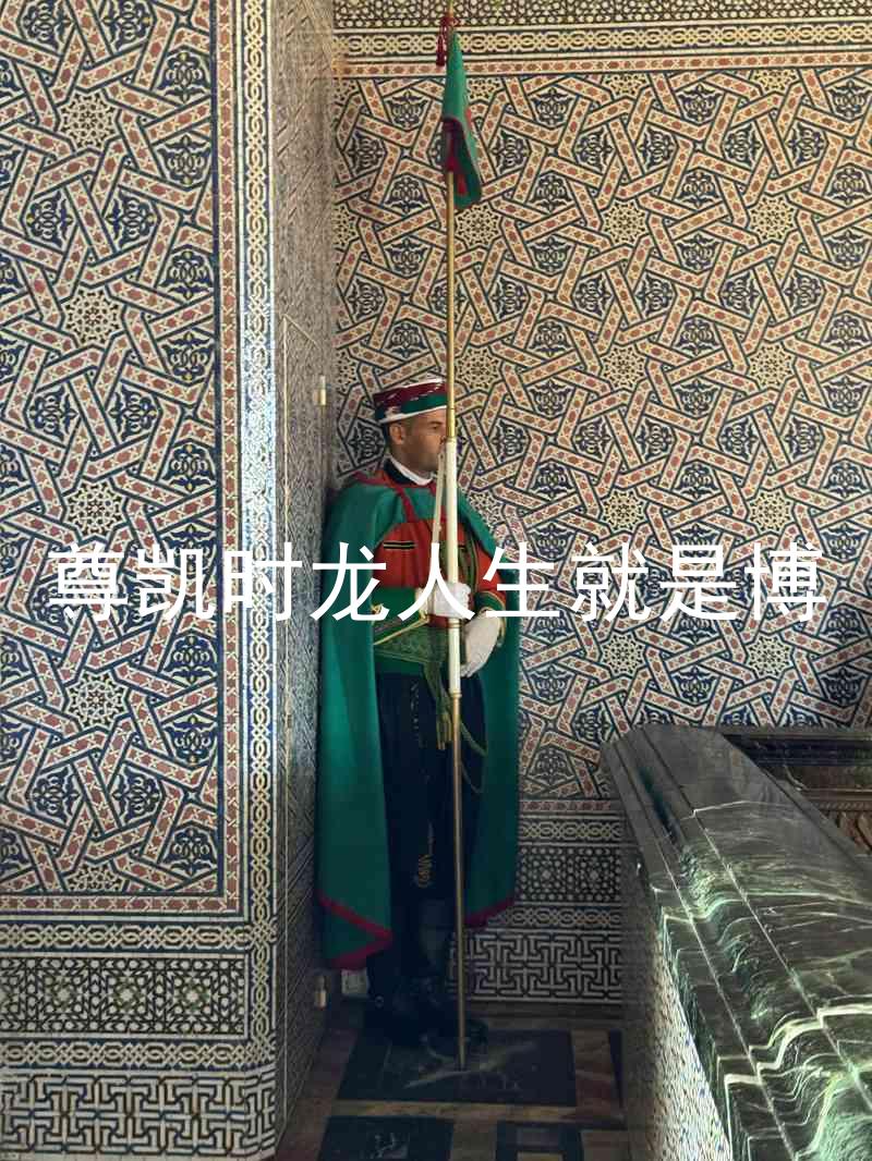 尊凯时龙人生就是博