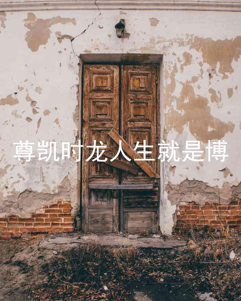 尊凯时龙人生就是博