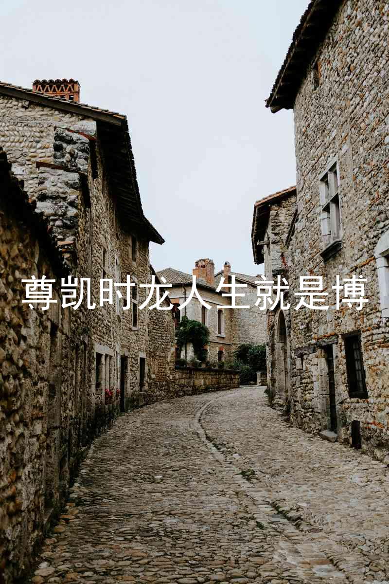 尊凯时龙人生就是博
